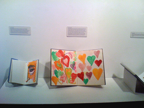 Visual Diaries Exhibition